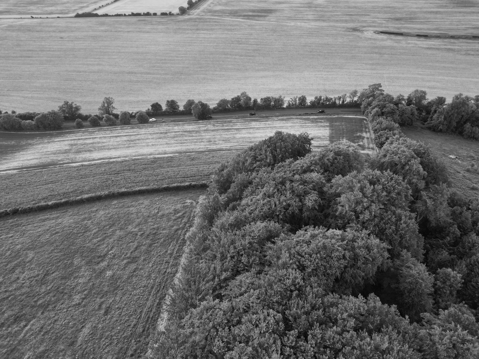 Fields and forest from above